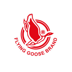 Flying Goose